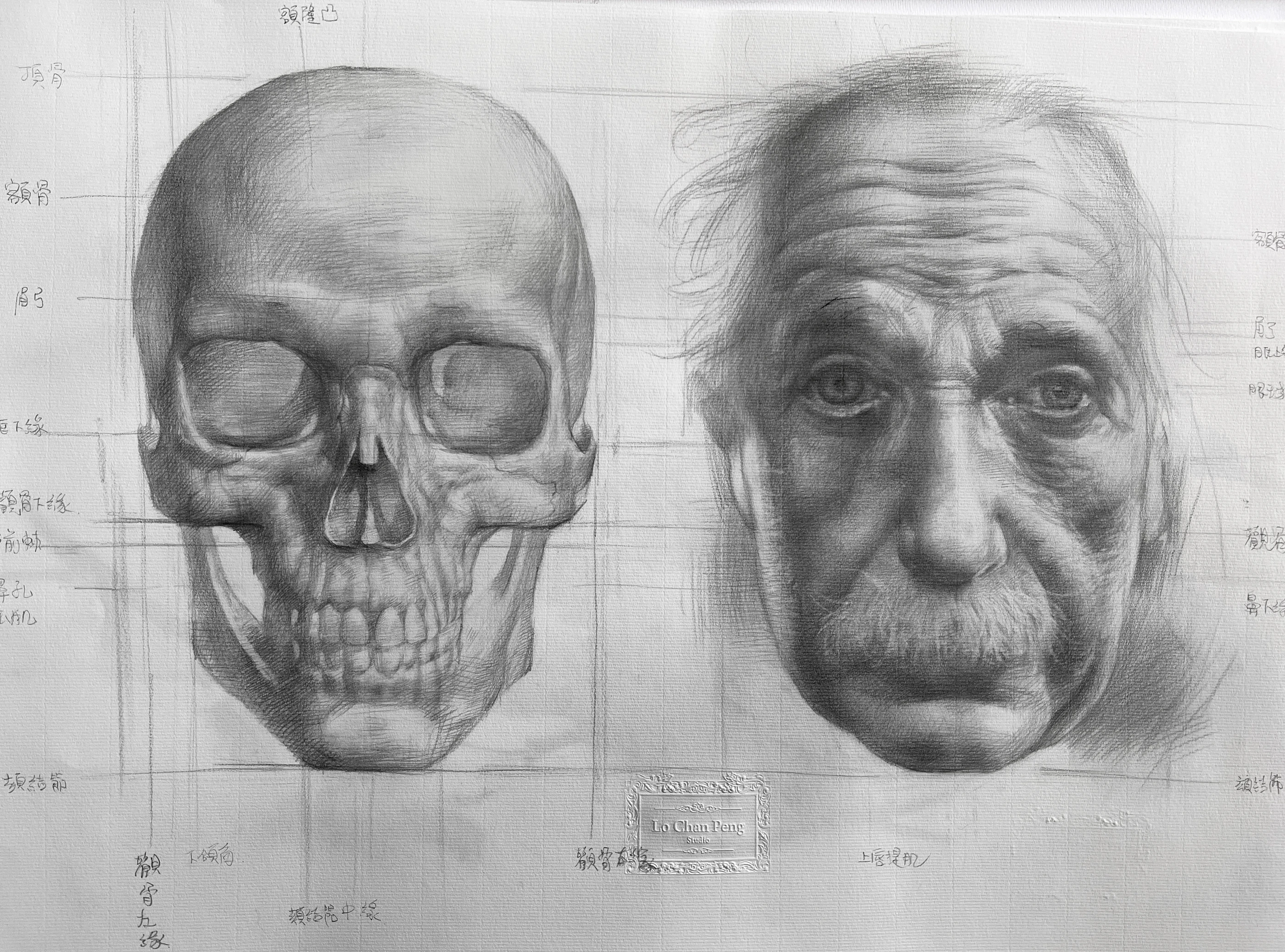 愛因斯坦 by Lo Chan Peng, Pencil on paper
